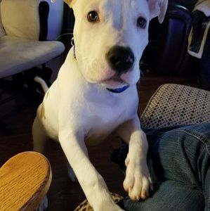 Meet your Posher, Donna